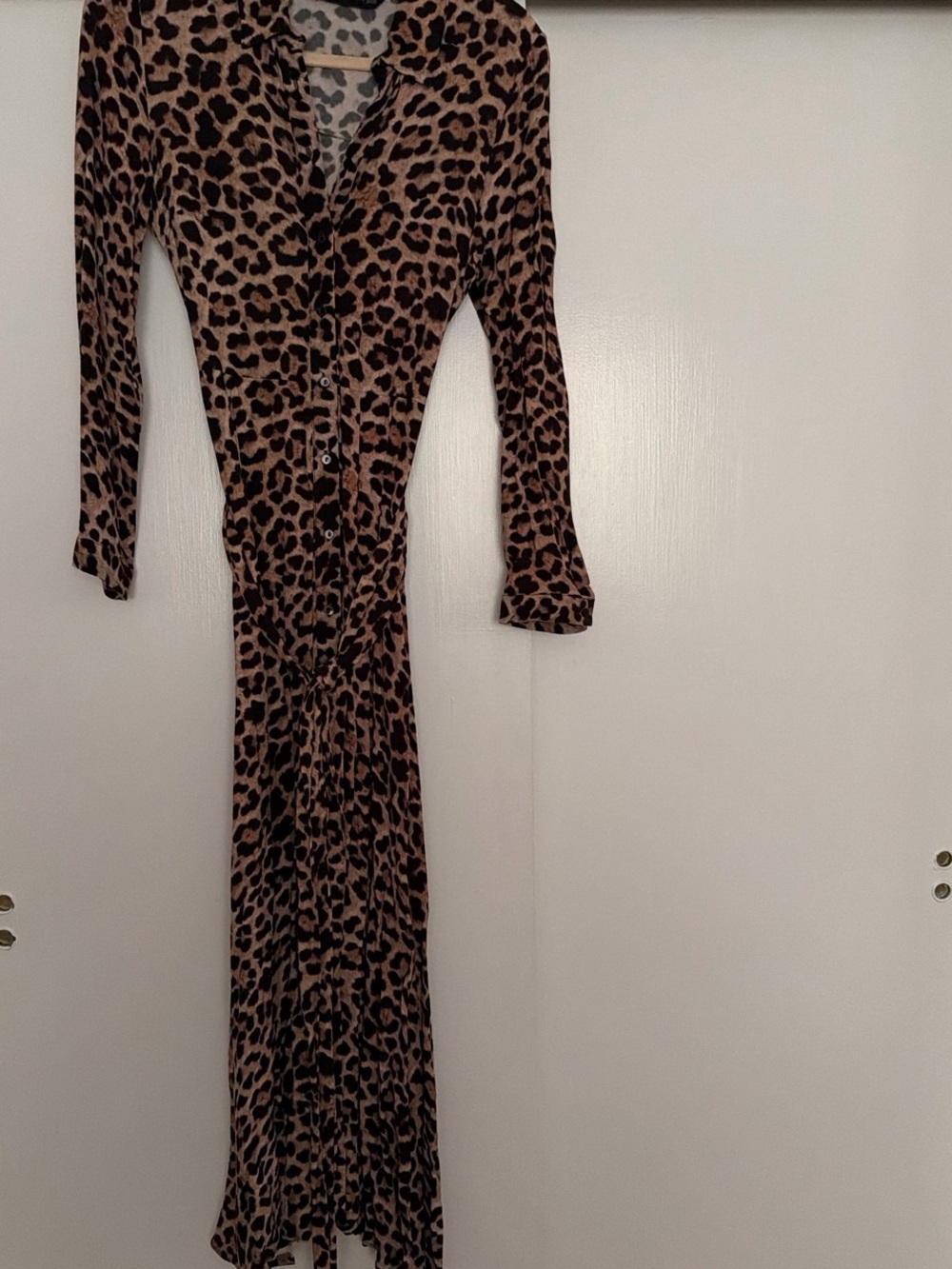 Zara Leopard Print Maxi Dress